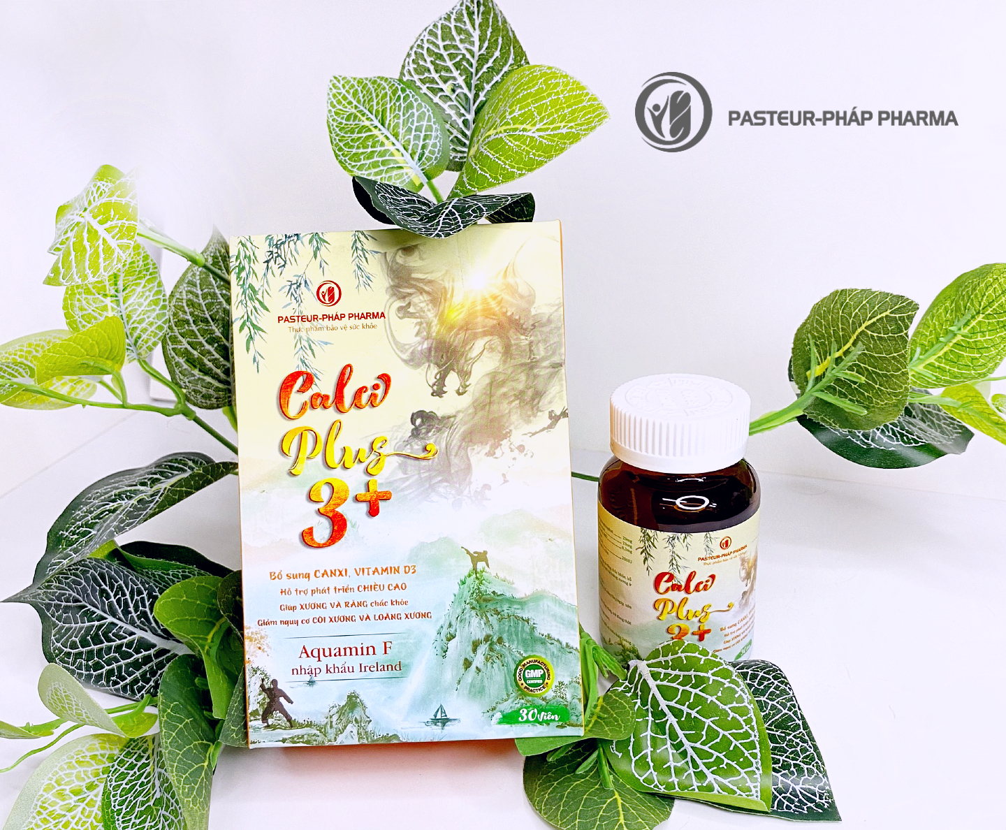 z3428224007239_04d60b40a101be5bbffc9fdea9e339c9(1)