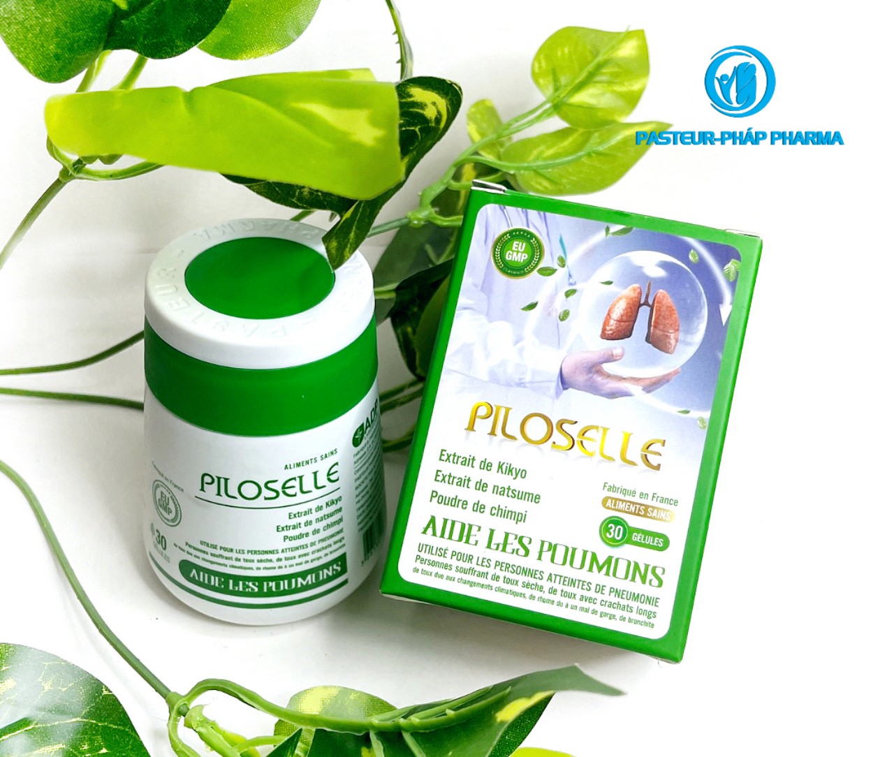 z5244192187181_caa65da174ac161580e637081c35fa48